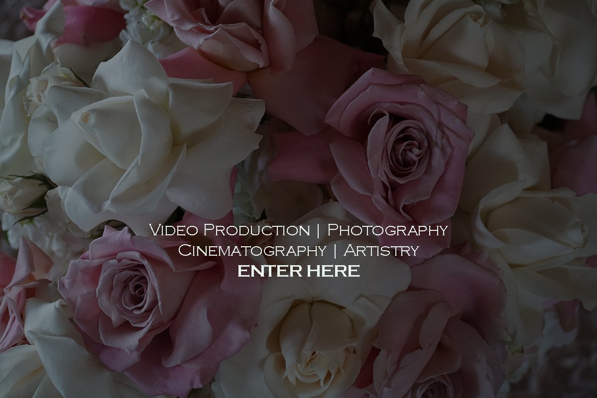 Premier wedding videographer services